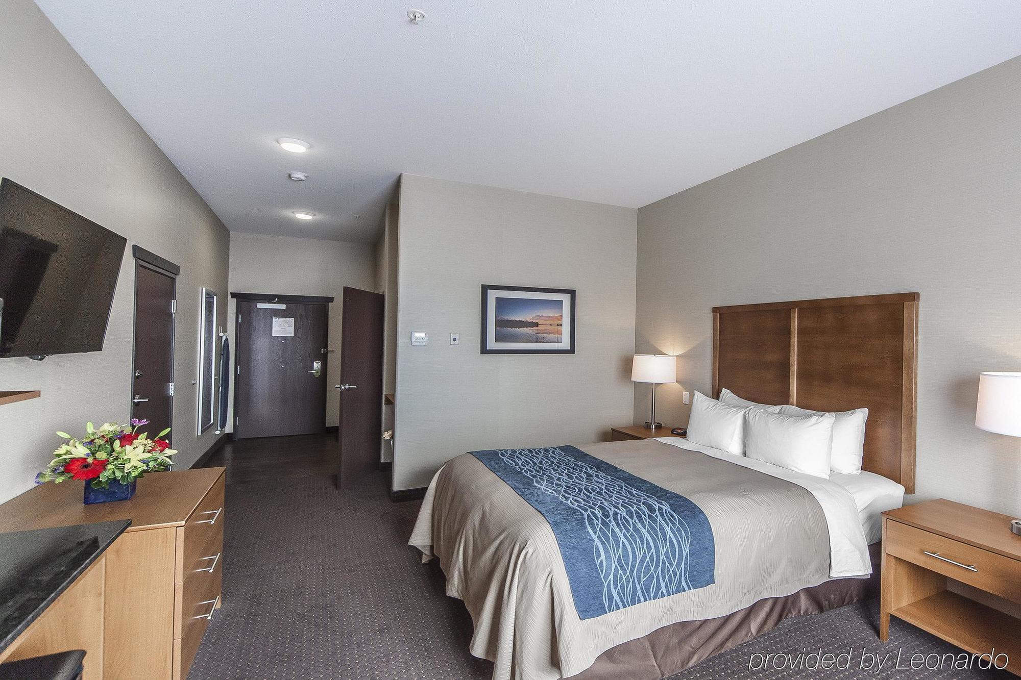Comfort Inn&suites Hotel